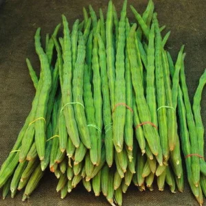 Moringa (Drumstick)